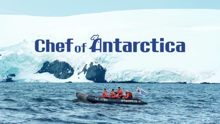 variety show Korea Chef of Antarctica